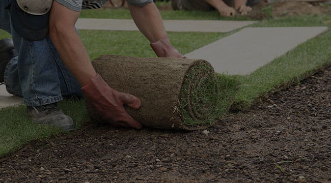 Manorville Lawn Care